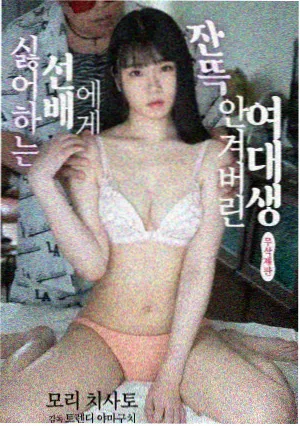 漫剧免费观看全集 - 机甲风暴